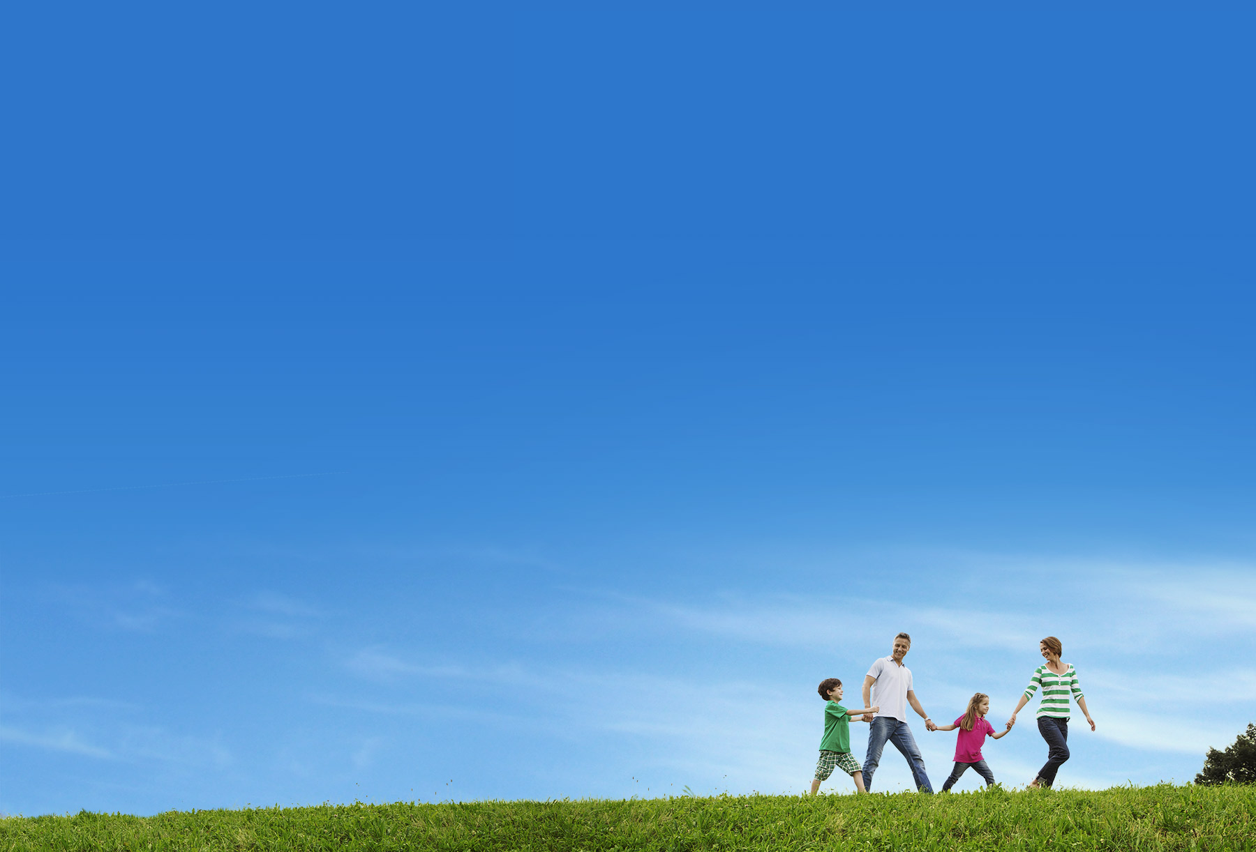 The snack your whole family will love